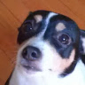 Meet your Posher, Joanne